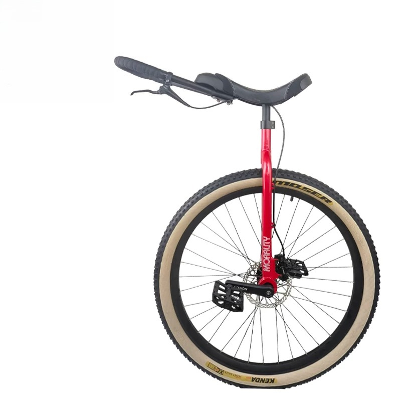 Monociclo de 29 Pulgadas con F - Cycling Commute Distance reseña y precio